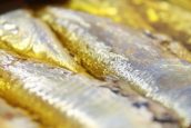 Dans le top ten des gourmands : la sardine millésimée la Belle Iloise